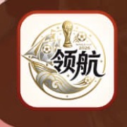 领航国际